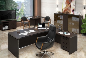 Кабинет руководителя TORR