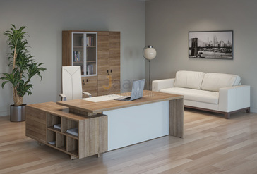 Кабинет руководителя Terra